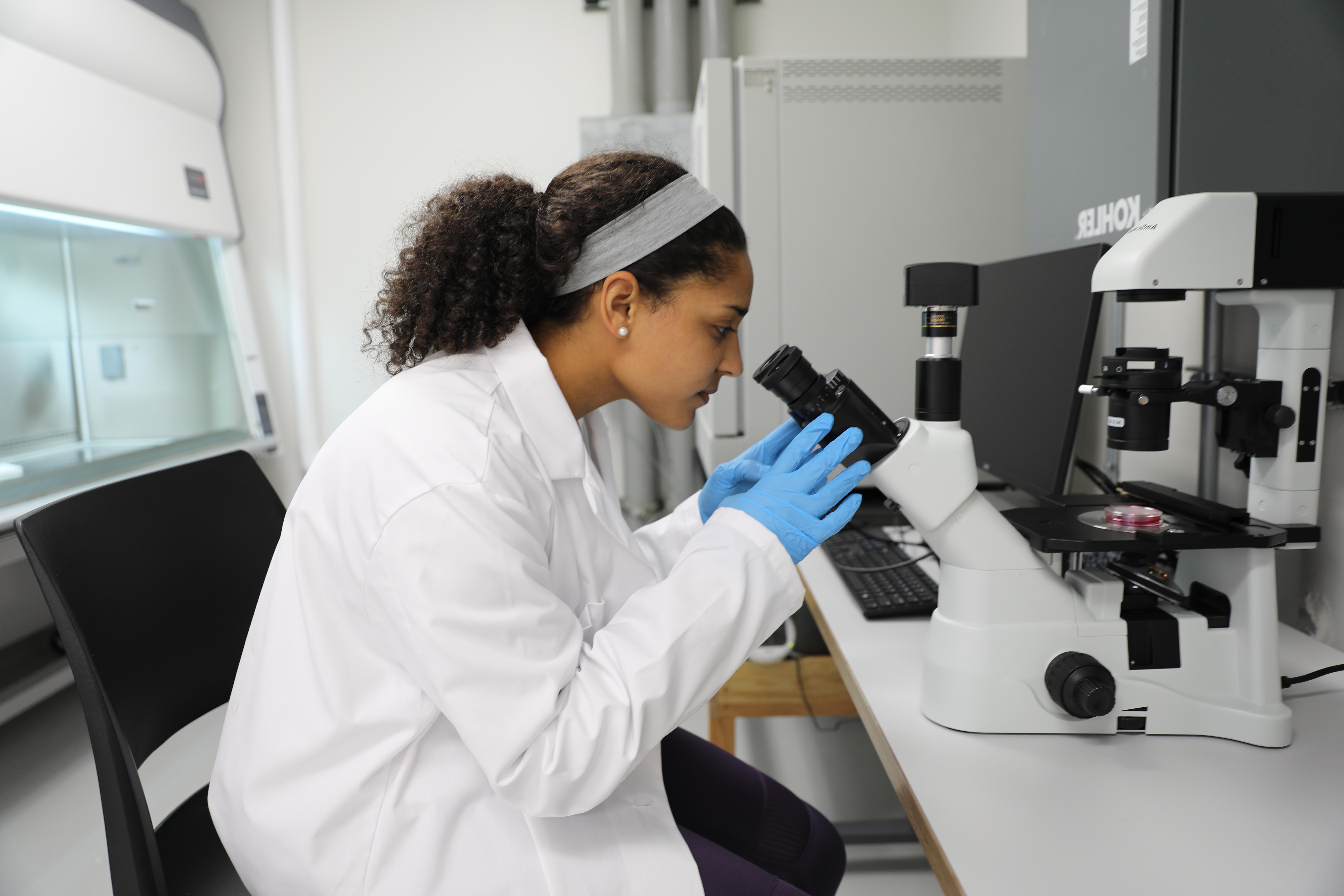 Mount Union biomedical 工程 student working in a lab.